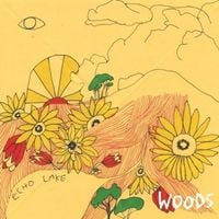 Woods - At Echo Lake