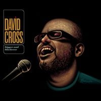 David Cross - Bigger and Blackerer