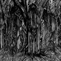 Sunn O))) - Black One