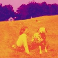 Eels - Blinking Lights and Other Revelations