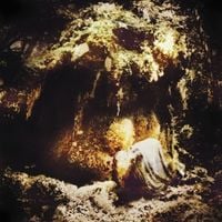 Wolves in the Throne Room - Celestial Lineage