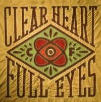 Craig Finn - Clear Heart Full Eyes
