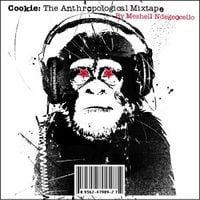 Meshell Ndegeocello - Cookie: The Anthropological Mixtape