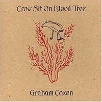 Graham Coxon - Crow Sit on Blood Tree