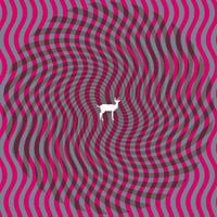 Deerhunter - Cryptograms