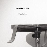Lambchop - Damaged