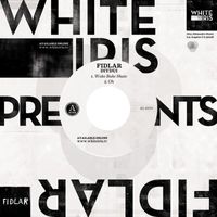 FIDLAR - DIYDUI