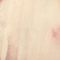 Erika Spring - Erika Spring EP