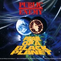Public Enemy - Fear of a Black Planet