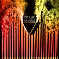 Vitalic - Flashmob