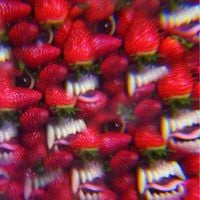 Osees - Floating Coffin