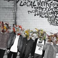 Local Natives - Gorilla Manor