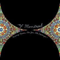 of Montreal - Hissing Fauna, Are You The Destroyer?