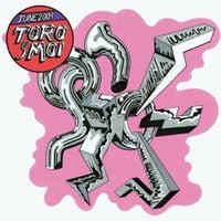 Toro y Moi - June 2009