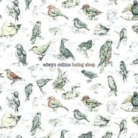 Edwyn Collins - Losing Sleep