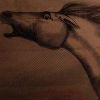 Julian Lynch - Mare