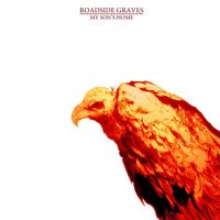 Roadside Graves - My Son's Home