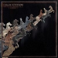Colin Stetson - New History Warfare Vol. 2: Judges