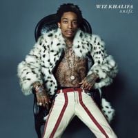 Wiz Khalifa - O.N.I.F.C.