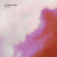 El Perro Del Mar - Pale Fire