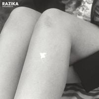 Razika - Program 91