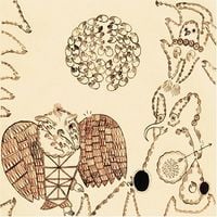 Devendra Banhart - Rejoicing in the Hands