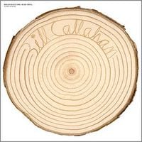 Bill Callahan - Rough Travel for a Rare Thing