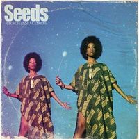 Georgia Anne Muldrow - Seeds