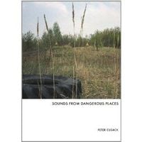 Peter Cusack - Sounds from Dangerous Places