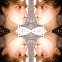 &Oacute;l&ouml;f Arnalds - Sudden Elevation