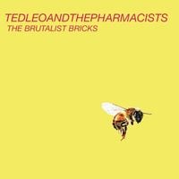 Ted Leo and the Pharmacists - The Brutalist Bricks