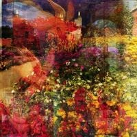 Sean McCann - The Capital