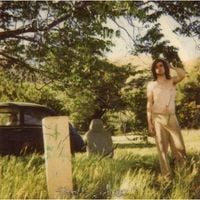 Ariel Pink's Haunted Graffiti - The Doldrums