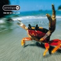 The Prodigy - The Fat of the Land