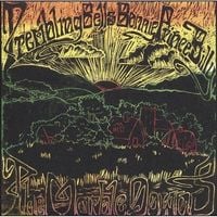 Bonnie 'Prince' Billy & Trembling Bells - The Marble Downs