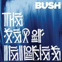 Bush - The Sea of Memories