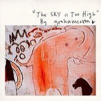 Graham Coxon - The Sky Is Too High
