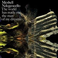 Meshell Ndegeocello - The World Has Made Me The Man Of My Dreams