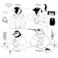 The Knife in Collaboration with Mt. Sims and Planningtorock - Tomorrow, in a Year