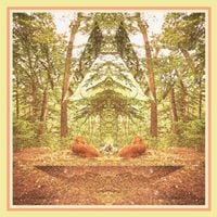 Gracie - Treehouse EP