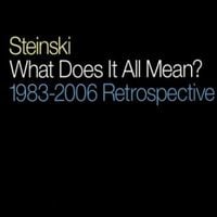 Steinski - What Does It All Mean? 1983-2006 Retrospective
