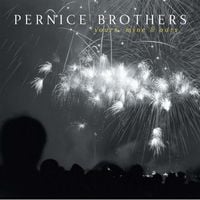 Pernice Brothers - Yours, Mine & Ours