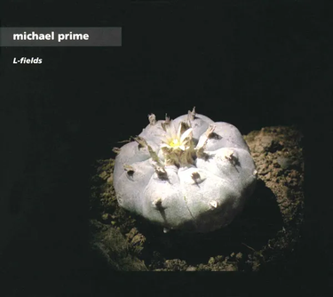 Michael Prime - L-Fields