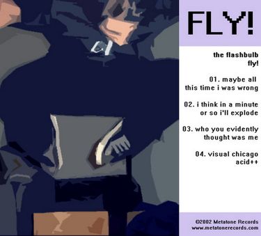 The Flashbulb - FLY!