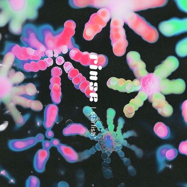 RINSE - STARFISH*