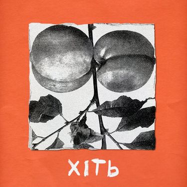 квіткіс - ХІТь