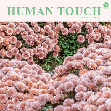Daniel Romano - Human Touch