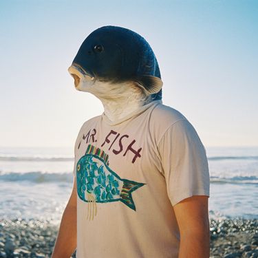 Shayhan - Mr. Fish