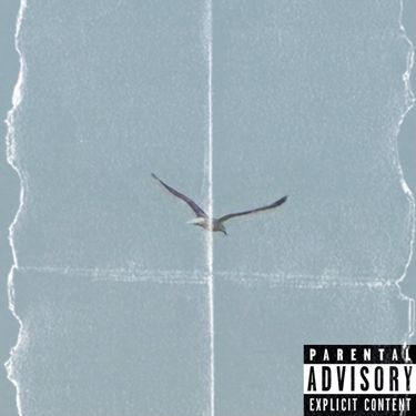 Classify - Soaring