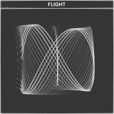 COPYCATT - FLIGHT